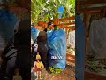 Nu mi-a venit a crede
