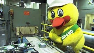 How Duck Tape is Made