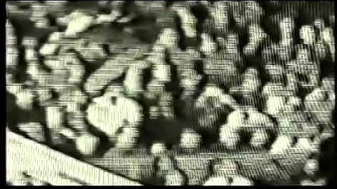 Bison - Another Level (OFFICIAL VIDEO)