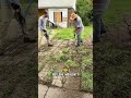 One of my favourite things, edges! #lawnmowing #lawncare #cleaninghouse #satisfying #cleaninggarden