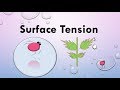 What is surface tension explain with example  what does surface tension mean for kids