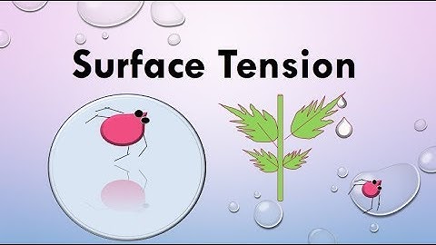 What is Surface tension Explain with Example | What does Surface Tension mean for Kids?