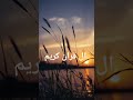 Quran recitation with urdu translation 🎧 🤲🏻 🫀 #quran #ytshorts #viralvideo