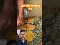 खजाने की खोज 🗺️💰 | Green Screen Adventure Video 🔥#shorts #shortsfeed #khajana