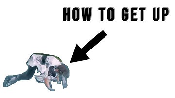 Tekken 8 - Get Up Guide