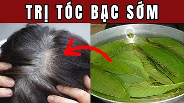 Trị Tóc Bạc Sớm Bằng Lá Ổi, Chỉ Sau 1 Tuần Tóc Đen Nhánh Tự Nhiên Trở Lại Như Vừa Đi Nhuộm