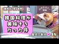 【密着】介助犬と韓国料理屋を見て美味しそうと溜飲を飲む!
