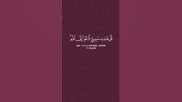 القارئ خليفة الطنيجي [سُورَةُ يُوسُفَ: ١٠٨]