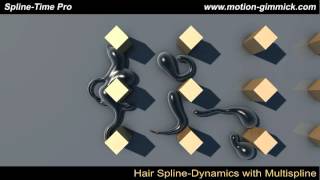 Multispline Dynamics