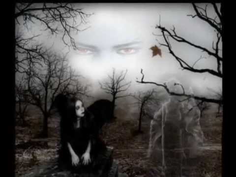 Amigos - So Jung Darfst Du Nicht Geh'n