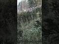 Days Gone Tail The Horde Easy Method So You Don't Get Sported #daysgone #tailthehorde