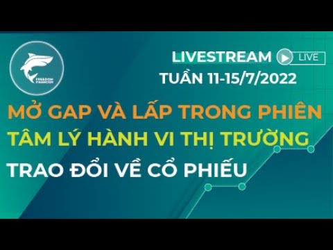 ĐẦU TƯ CHỨNG KHOÁN | NHẬN ĐỊNH THỊ TRƯỜNG 11-15/7/2022 | MỞ VÀ LẤP GAP TRONG PHIÊN | TÂM LÝ HÀNH VI