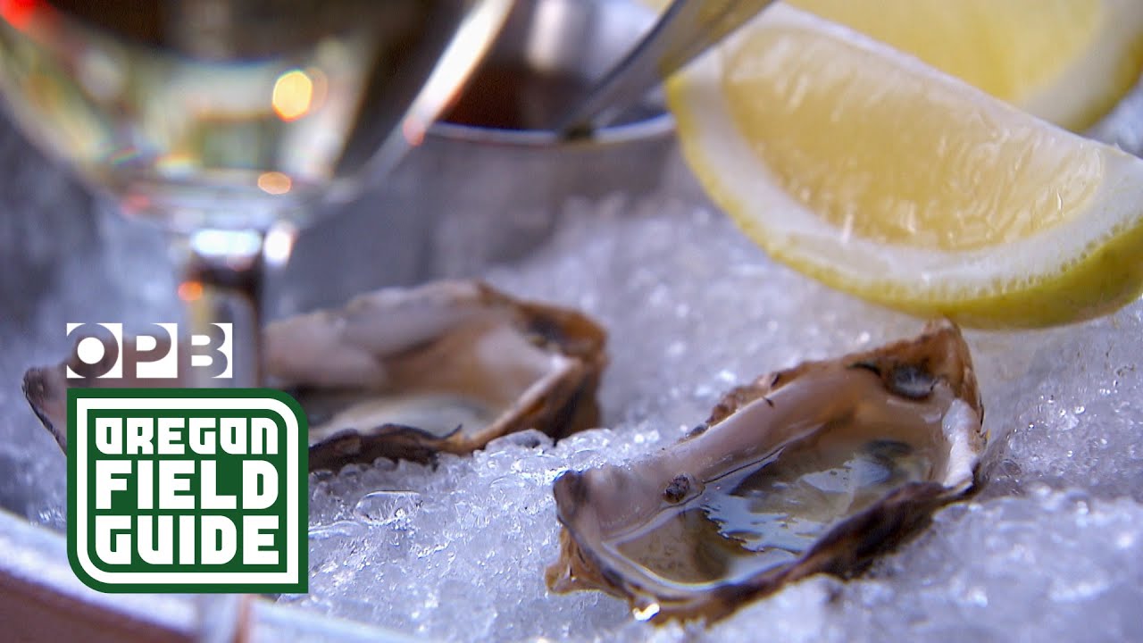 How oysters allow us to taste the many flavors of the sea