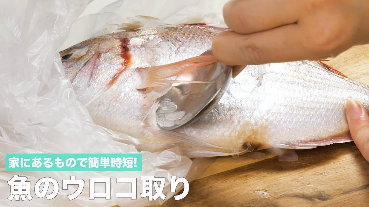 家にあるもので簡単に時短 魚のウロコ取り Youtube