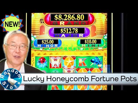 Lucky Honeycomb Fortune Pots Slot Machine Bonus