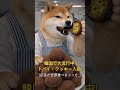 🚨緊急入荷...そして即完売