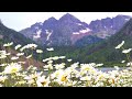 1 Hour Maroon Bells Relaxing Mountain Rain Ambience | Rain Sounds for Sleep, Study & Stress Relief