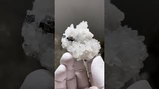 Video preview: Pyrite with Quartz — Jiangxi, China · 5.3 cm