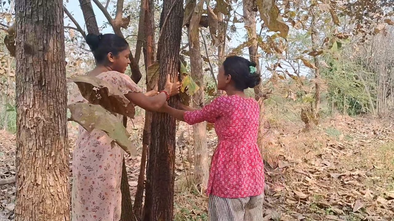 Ye dono bor k ped 🌳 pe chadne vali hai 😅