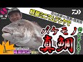 軽量ミニマムテンヤでバケモノ真鯛釣れました！｜船最前線