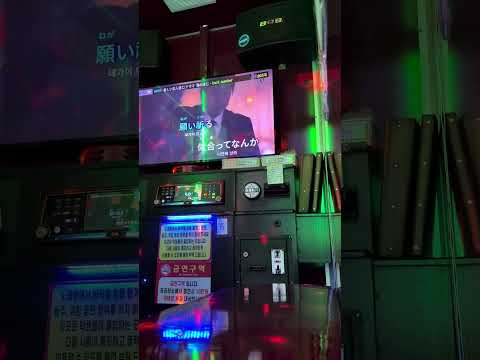 back number - 新しい恋人達に (새로운 연인들에게) 노래방 커버