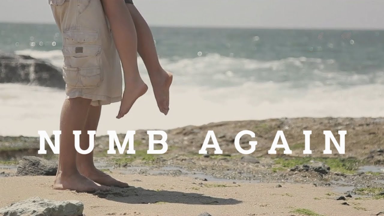 Radu & White Lynx - Numb Again (Asher Remix)