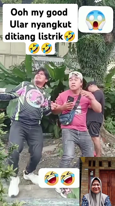 penampqkan ular Kadut nyangkut ditiang listrik#shorts#comedy #monetisasiyoutube