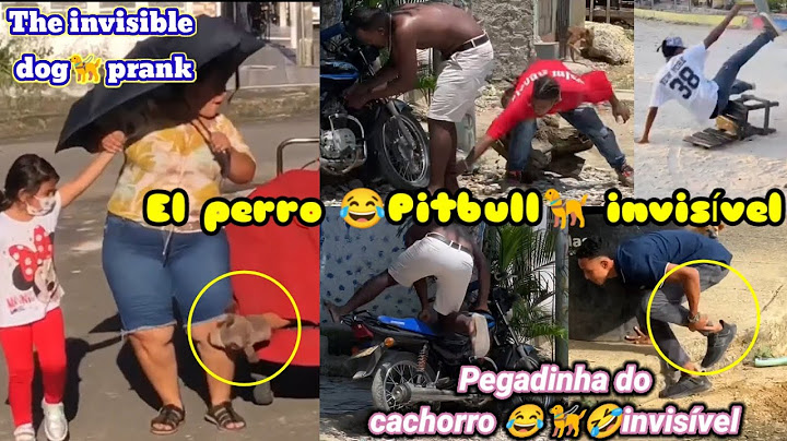 Broma del perro invisble  / Pegadinha do cachorro invisvel / Fake dog prank