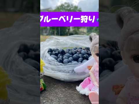 あおはにファーム（青葉仁会 農自然班）の紹介動画サムネイル
