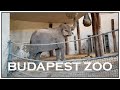 Budapest Zoo & Botanical Garden, Hungary // GoPro Hero 8