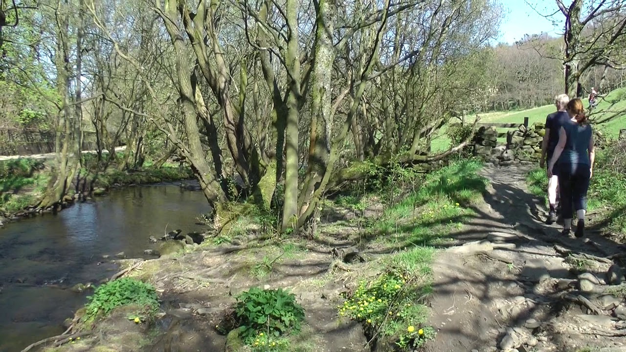 The River Holme in April