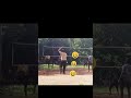 see the back player # short #spike# volleyball #super spike