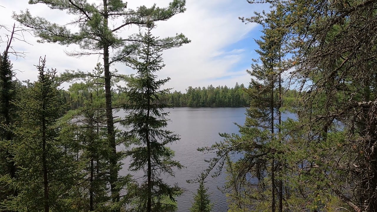 Hiking/Bear Sighting Angleworm Trail (CCW) Whisky Jack Lake