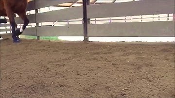 Easyboot Cloud Slow Mo