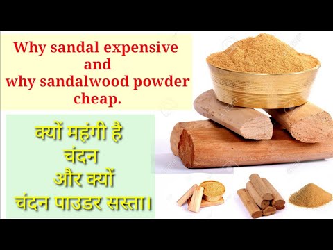 Why sandal expensive and why sandalwood powder cheap?😳😁 #sandalwood #authenticsandal