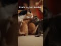 He Stopped in the Snow. Five Lives Changed Forever.