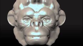 mudbox ape doodle