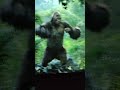 King Kong 360° 3D