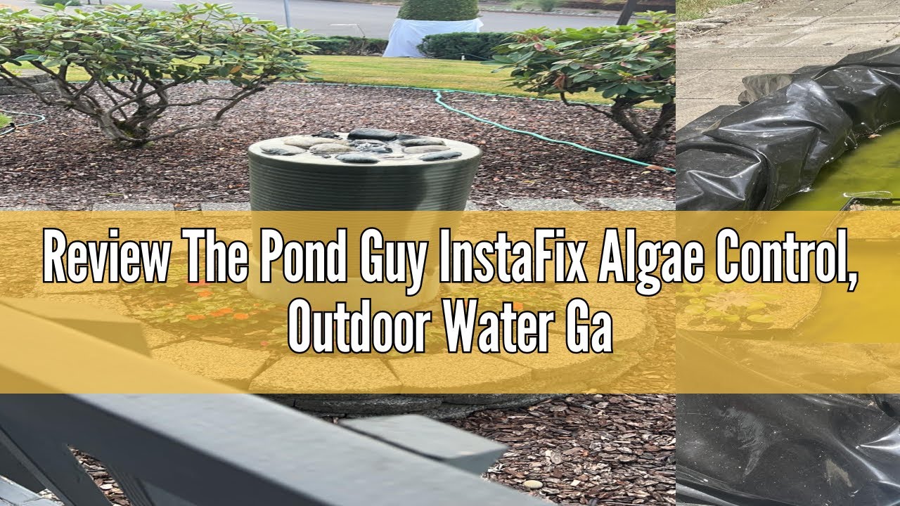 Review The Pond Guy InstaFix Algae Control, Outdoor Water Garden