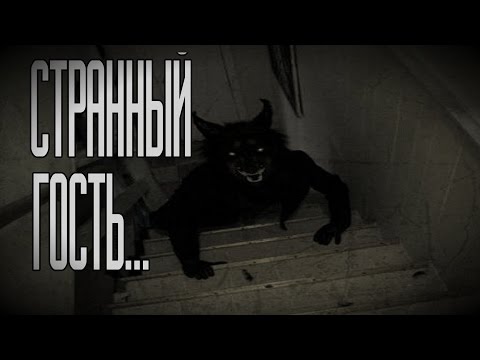 Страшные истории бегемот кот