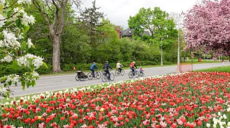 Queen Elizabeth Driveway Weekend Bikedays (Ottawa, ON - May 2024)