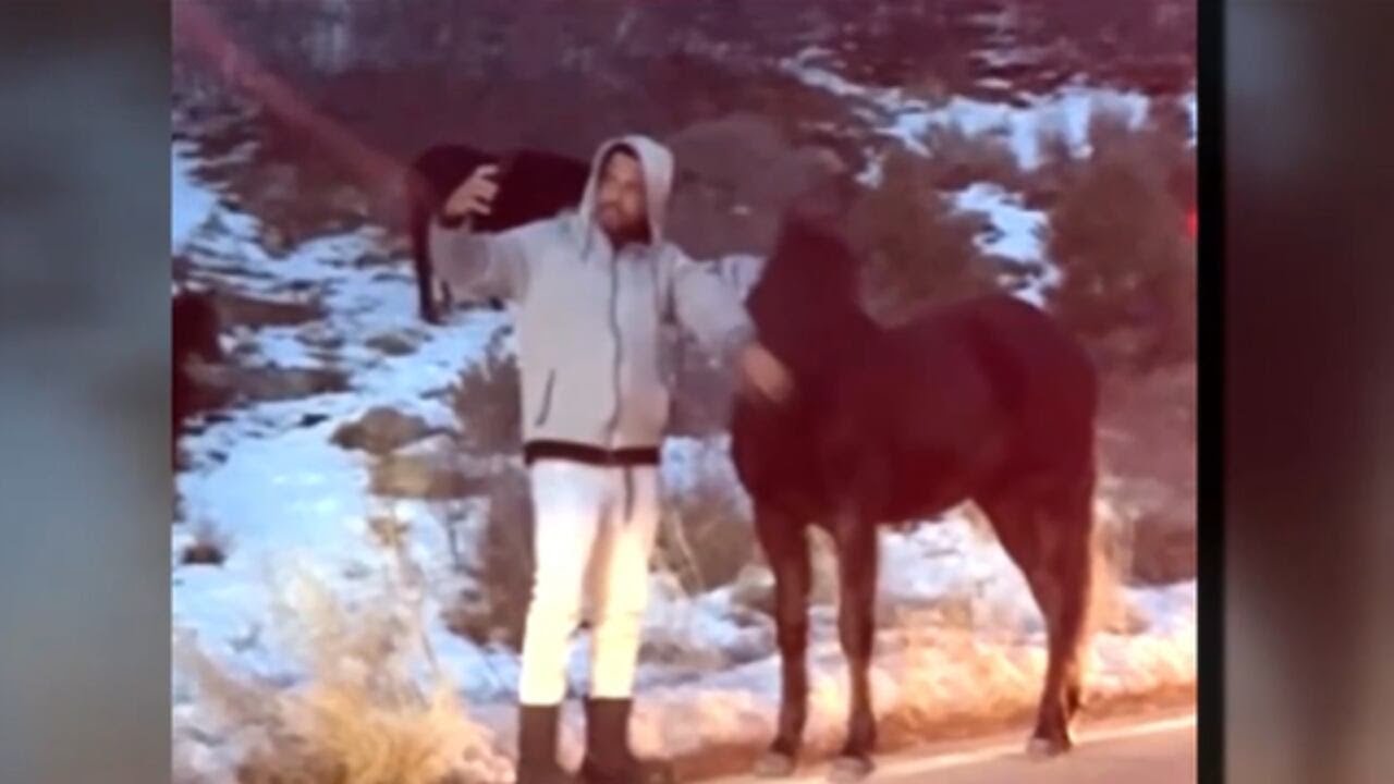 CAUGHT ON VIDEO: Man grabbed wild horse’s face to take selfie at Mt.  Charleston