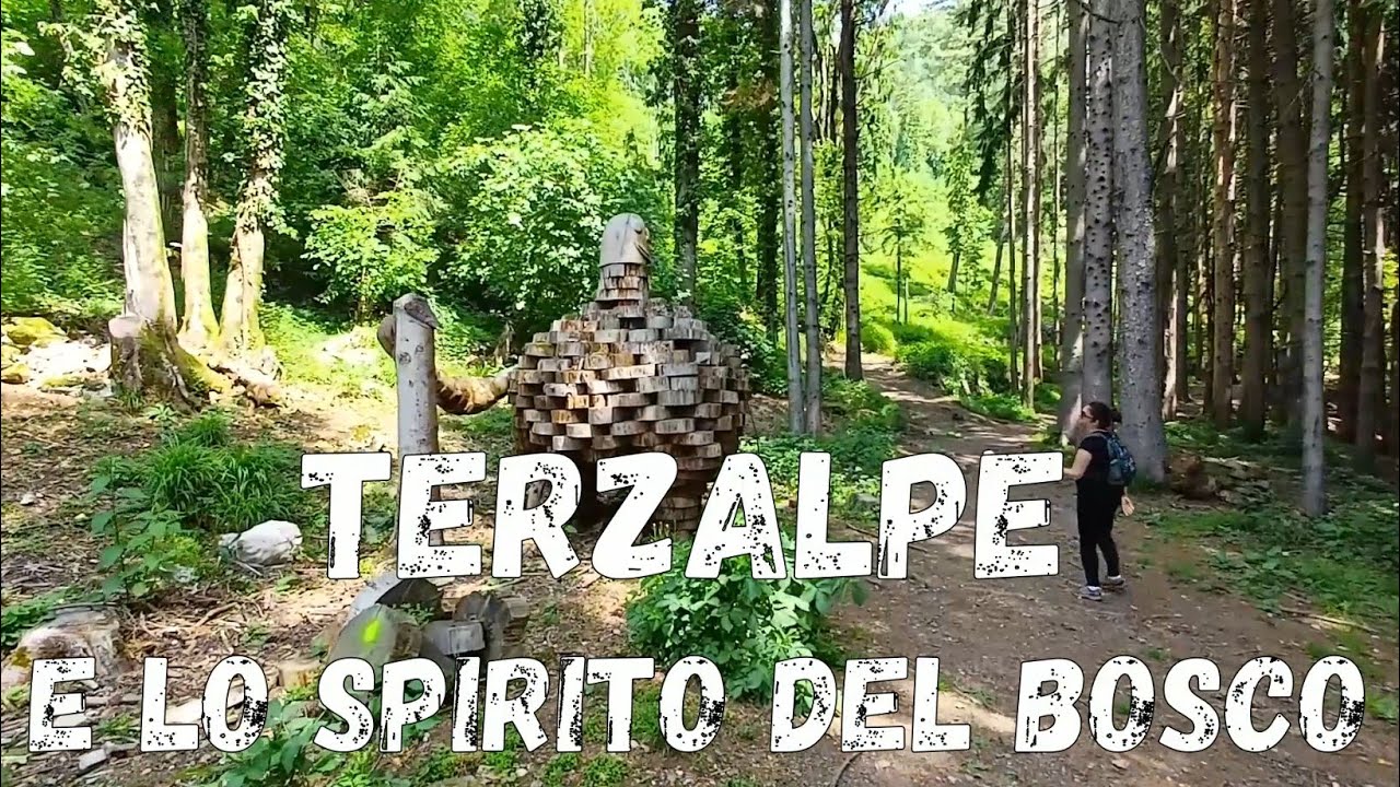 (R96) Terz'alpe (793m) e Sentiero dello Spirito del Bosco da Canzo (CO) #walking #hiking