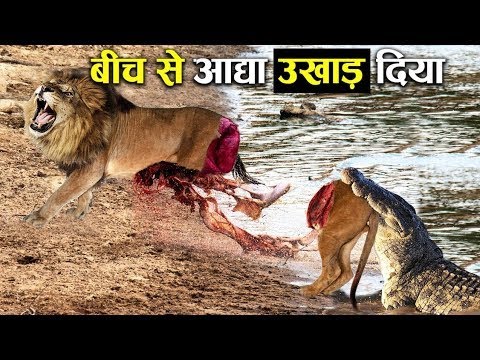 वीडियो: इंतजार करना खतरनाक क्यों है?