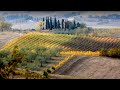 FOLIAGE LE VIGNE IN TOSCANA 4k