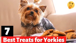 7 Best Dog Treats for Yorkies