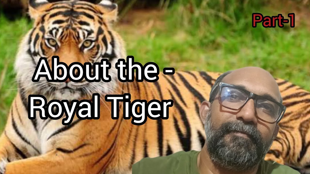 The Royal Roaring....!! | Part-1