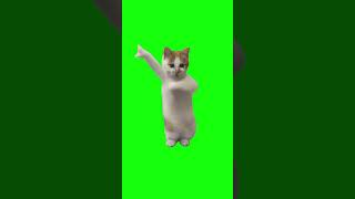 Dancing Cat Meme | Green Screen