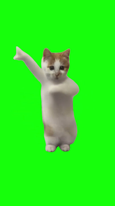 Dancing Cat Meme | Green Screen