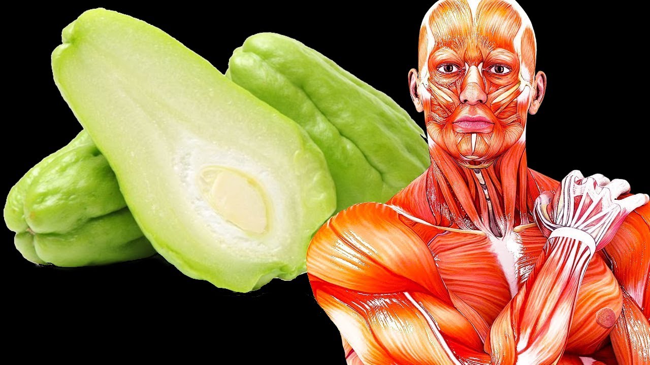 10-health-benefits-of-chayote-you-need-to-know-youtube